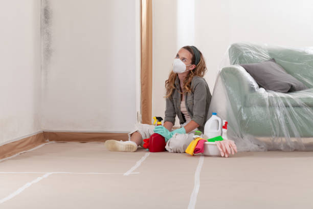 Reliable Mold Remediation contractor in Rocky Hill, NJ by Cheap Mold Removal